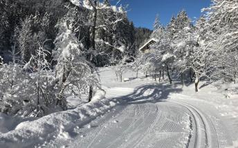 ACTION-FORNI-DI-SOPRA-DOLOMITI-DK-1515 - kopie