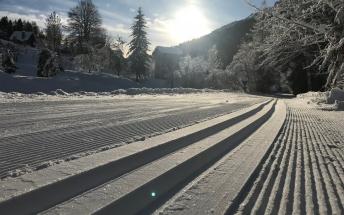 ACTION-FORNI-DI-SOPRA-DOLOMITI-DK-1516 - kopie