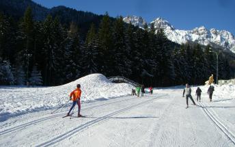 Forni di Sopra_Nordic Ski - kopie